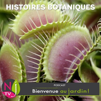 POURQUOI CERTAINES PLANTES DEVIENNENT CARNIVORES ? cover