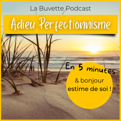 En 5 Minutes • Perfectionnisme & Estime de soi cover