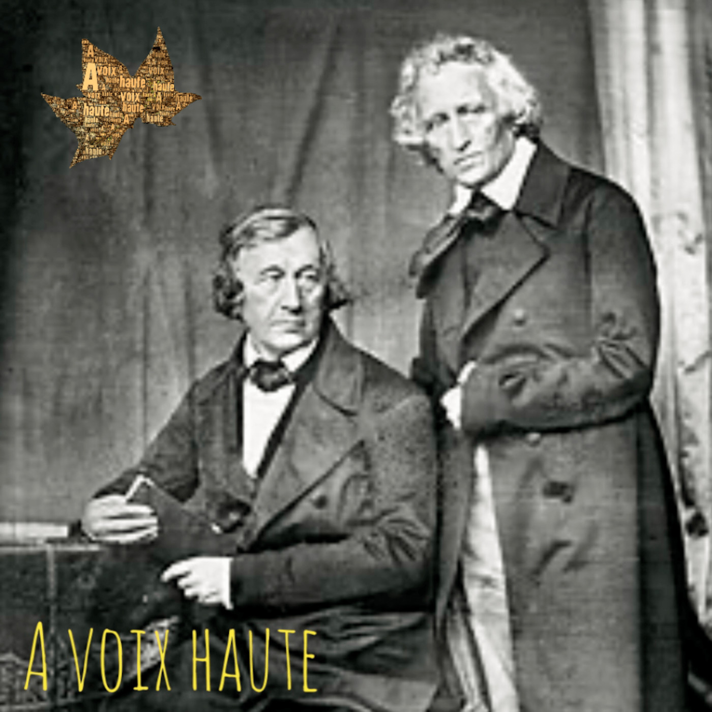 Conte de Grimm - Les Sept Corbeaux- Yannick Debain..