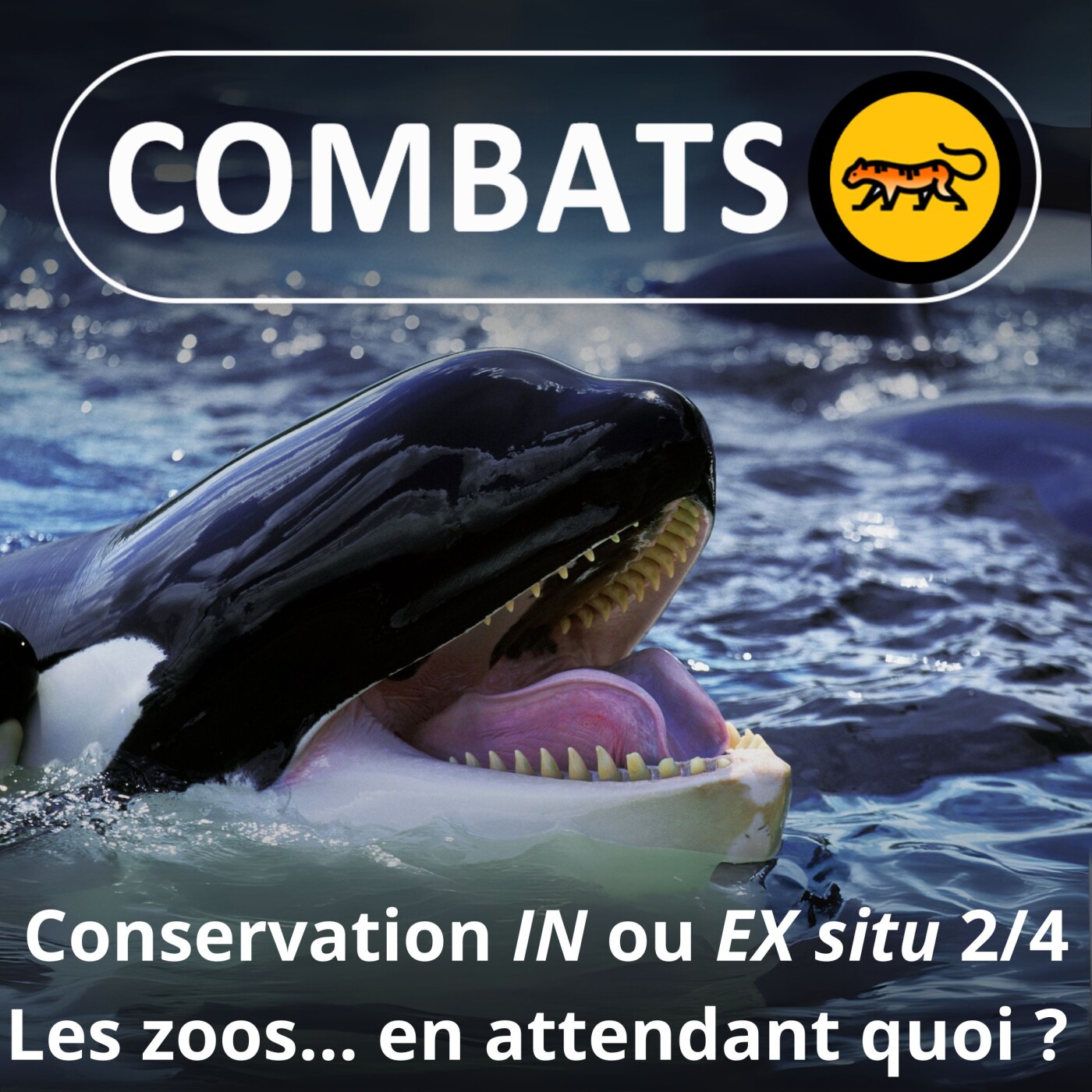 Combats