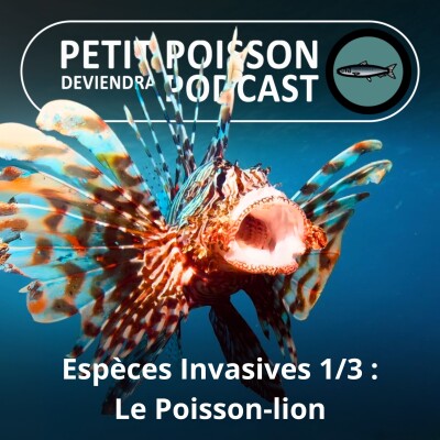 S01E43 Espèces Invasives 1/3 : Le Poisson-lion a envahi la Floride et les Caraïbes cover