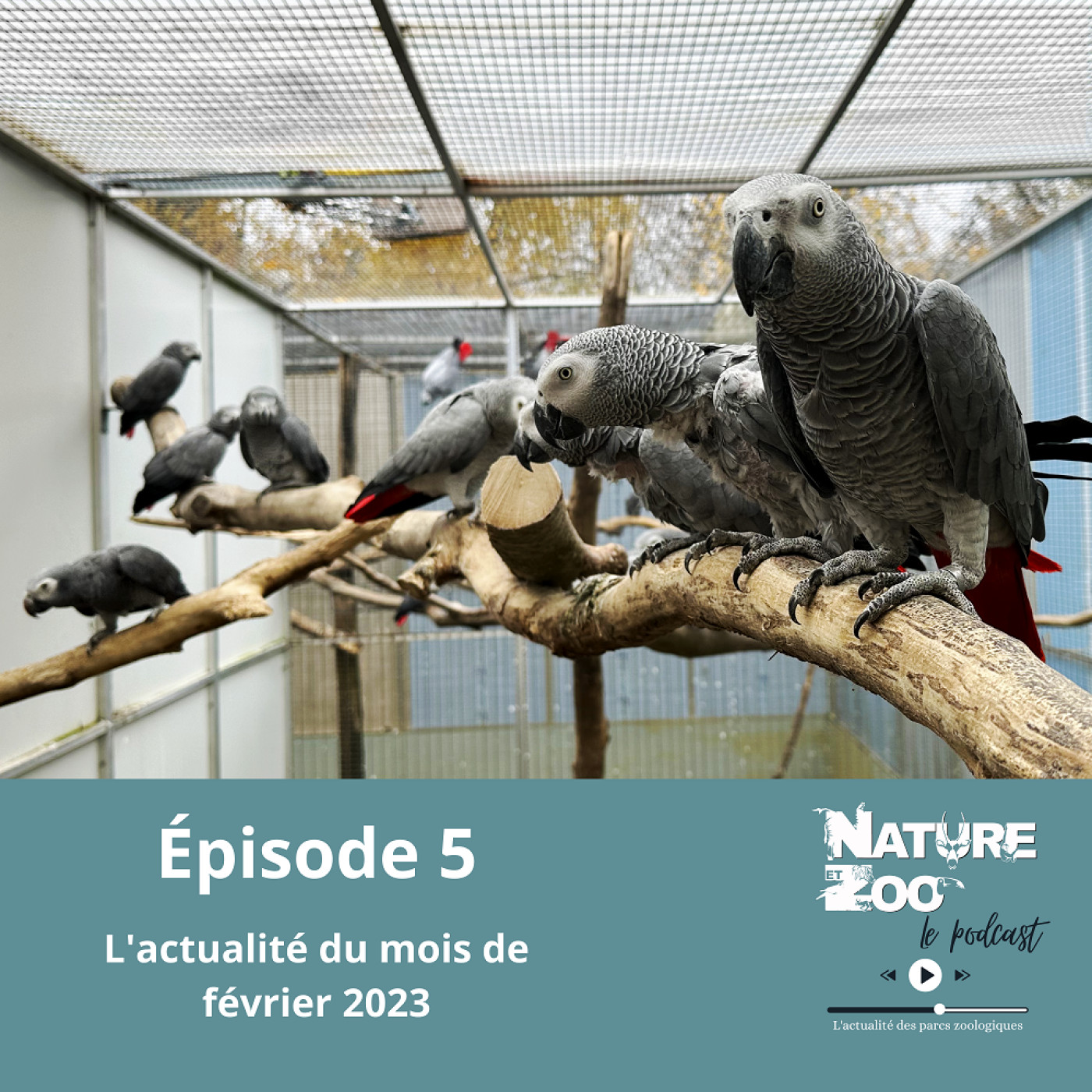 Nature et Zoo - Le Podcast
