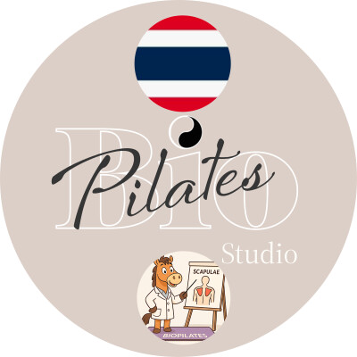 🇹🇭 🐴 การเคลื่อนไหวและการทรงตัวของกระดูกสะบัก: มนุษย์และม้า Stott Pilates Scapula Stabilisation cover