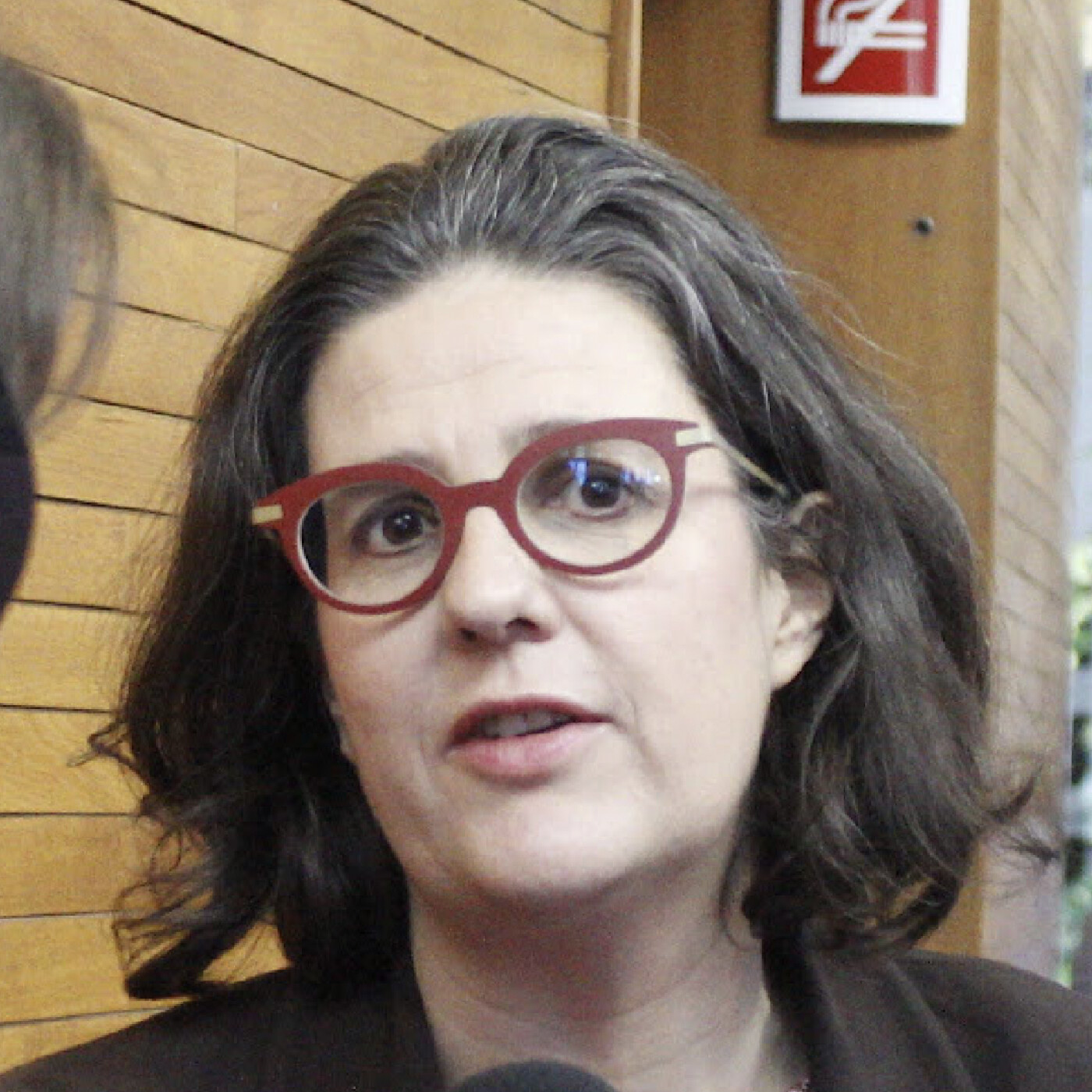Gwendoline Delbos-Corfield, eurodéputée, est-elle féministe ? episode artwork