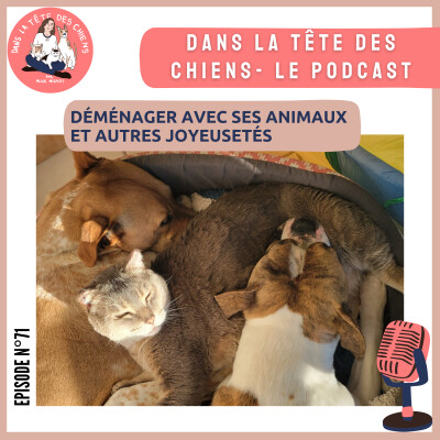 Déménager avec ses animaux (et autres joyeusetés) cover