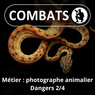 S02E47 Profession photographe animalier 2/4 : Dangers (Frank "Canon" Deschandol) cover