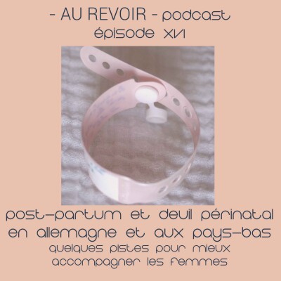 #16 Post-partum et deuil périnatal en Allemagne et aux Pays-Bas cover
