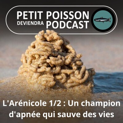 S01E41 L'Arénicole 1/2 : Un champion d'apnée qui sauve des vies humaines ! cover