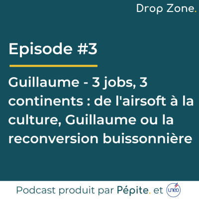 #3 Guillaume - 3 jobs, 3 continents - De l'airsoft à la culture, Guillaume ou la reconversion buissonnière cover
