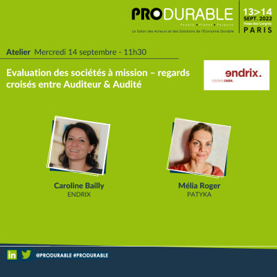 Endrix - Evaluation des sociétés à mission – regards croisés entre Auditeur & Audité cover