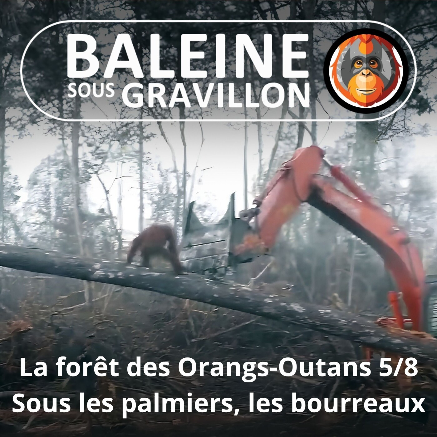 S07E117 Les Orangs-Outans 5/8 : Sous les palmiers, l'extermination (Emmanuelle Grundmann)