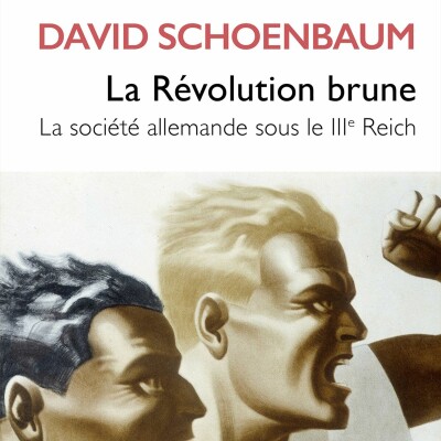 David Schoenbaum - La Révolution brune cover