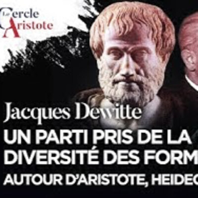 Un parti pris de la diversité des formes : Aristote, Heidegger et Arendt - J. Dewitte - # politique cover