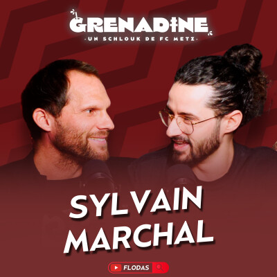 Sylvain Marchal, au service du FC Metz : formation, carrière, Metz, Sainté', Anelka, reconversion cover
