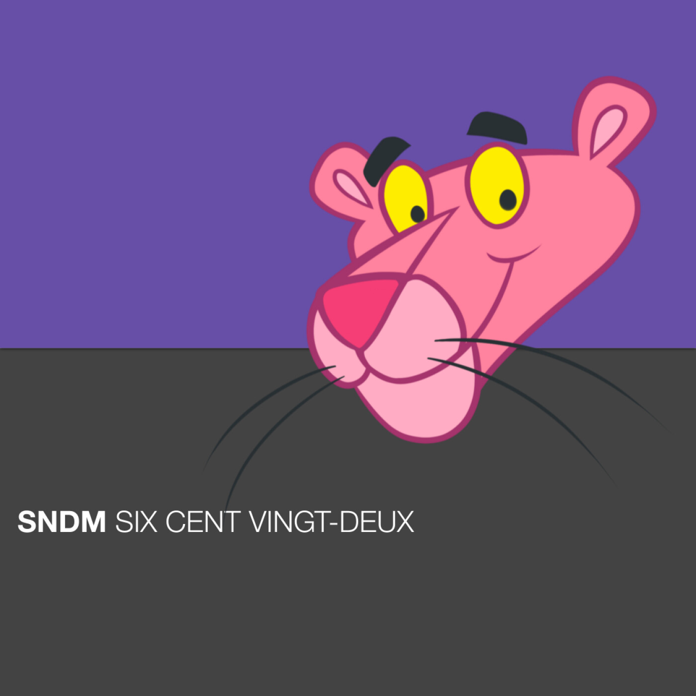 SNDM
