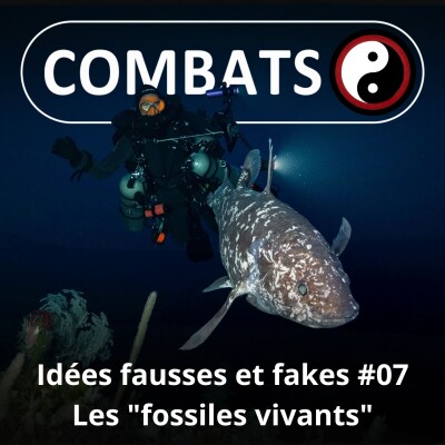 S06E07 Idées fausses : Les "fossiles" vivants cover
