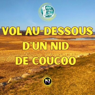 Vol au dessous d'un nid de Coucoo cover
