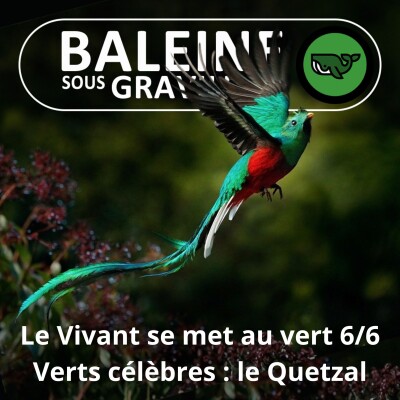 S07E78 Allez les Verts ! 6/6 : Le Quetzal (et autres verts célèbres...) cover