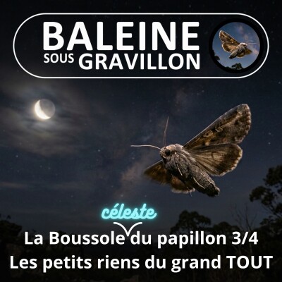 S08E14 La Boussole céleste du papillon 3/4 : S'émerveiller des petits riens... du grand TOUT cover