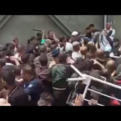Moutons sponsorisés en Algérie : d’insupportables scènes d’humiliation publique ! cover
