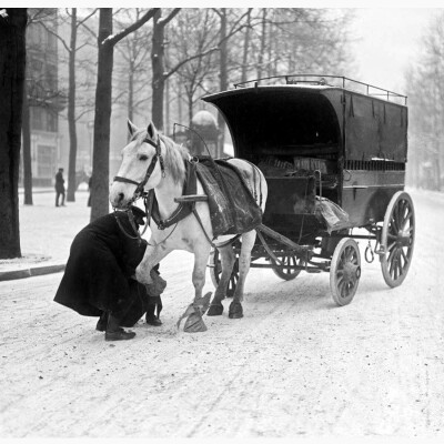 Brève : Le plus rude hiver du siècle cover