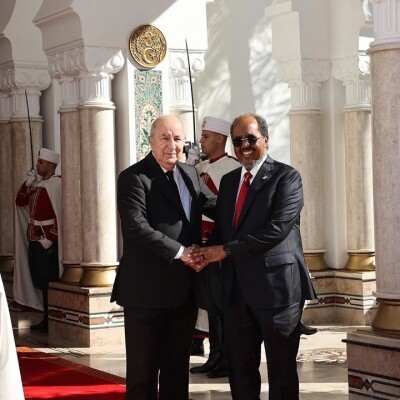 Somalie, Biélorussie, Mozambique : les étranges fréquentations diplomatiques de Tebboune  cover