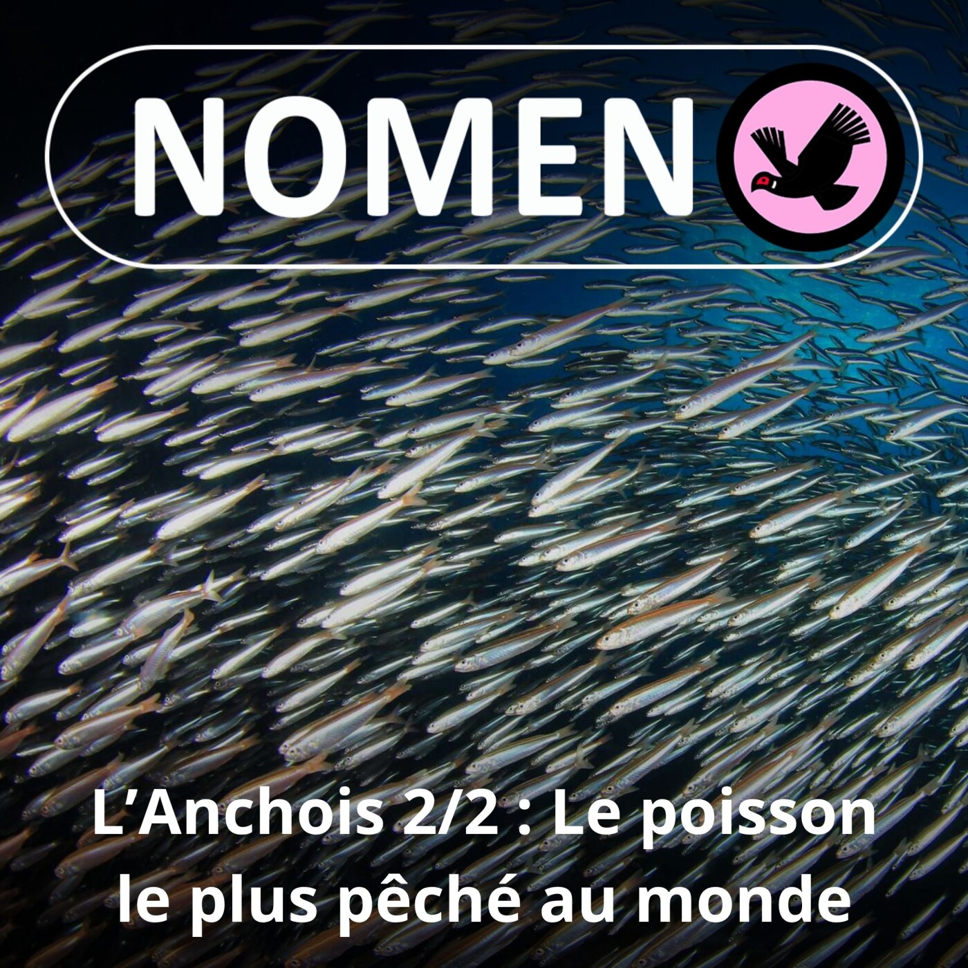 Nomen