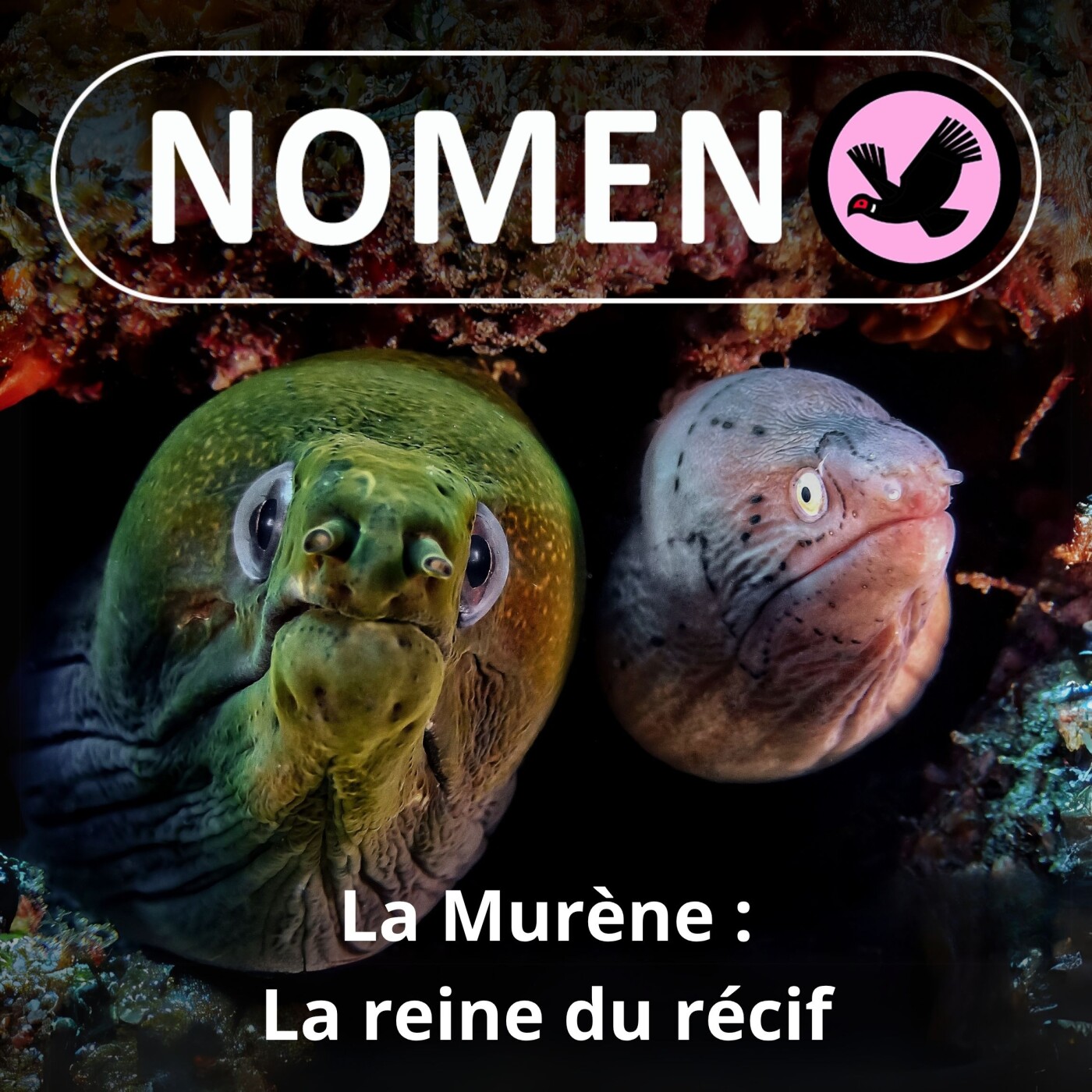 Nomen