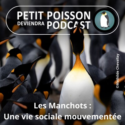 S05E15 Les Manchots : Une vie sociale bien mouvementée (Mathilde Chevallay) cover