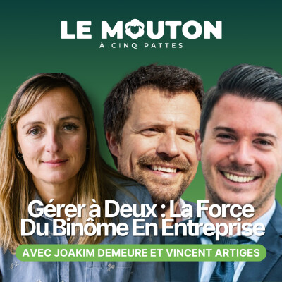 Gérer à deux : la force du binôme en entreprise avec Joakim Demeure et Vincent Artiges cover
