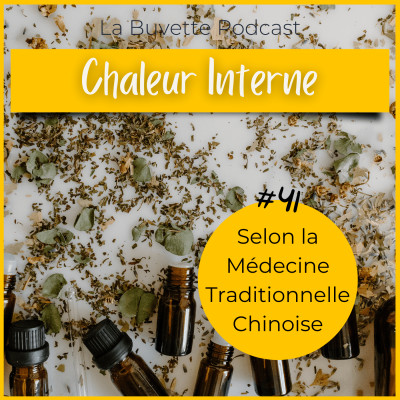 #41 C'est quoi la CHALEUR INTERNE ? cover