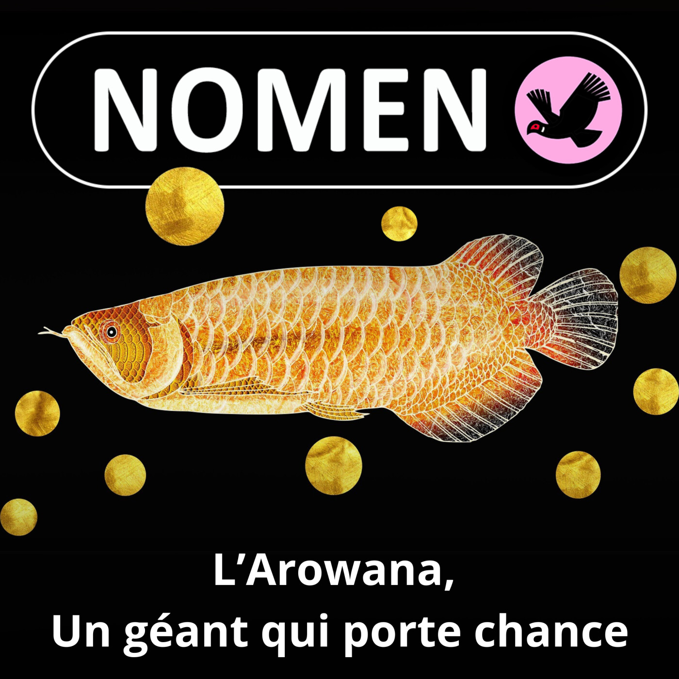 S03E07 L'Arowana, un "poisson-dragon" porte-bonheur et "feng shui"