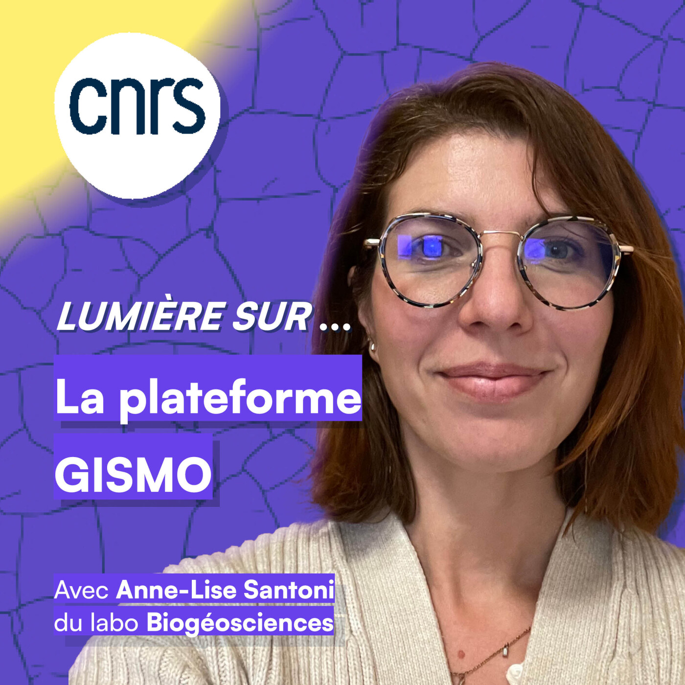 Lumière sur… La plateforme GISMO