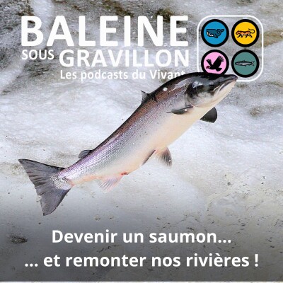 Attention : Les best of d'été ont été retirés + autres infos cover