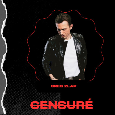 Greg Zlap se confie : Johnny Hallyday, scène et secrets d’harmonica cover