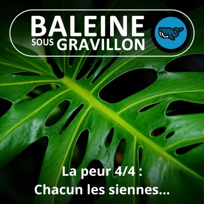 S06E04 La peur 4/4 : Chacun les siennes... cover