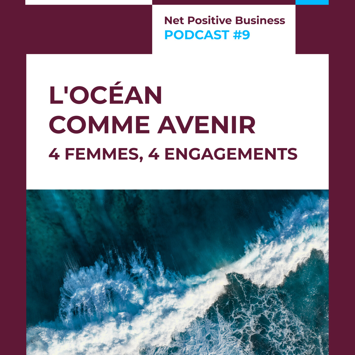 Webinaire L'Océan comme Avenir episode artwork