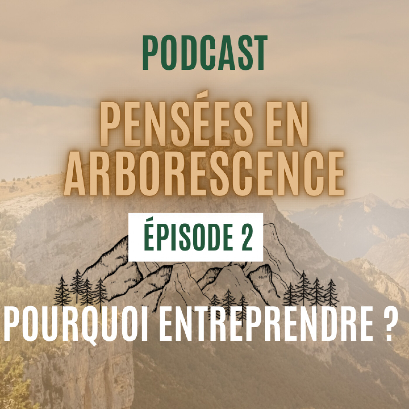 Pourquoi entreprendre ? episode artwork
