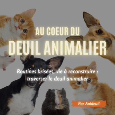 Épisode #20: Routines brisées, vie à reconstruire : traverser le deuil animalier cover