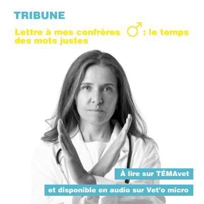 Tribune - Marine Slove - Lettre à mes confrères ♂︎ : le temps des mots justes cover