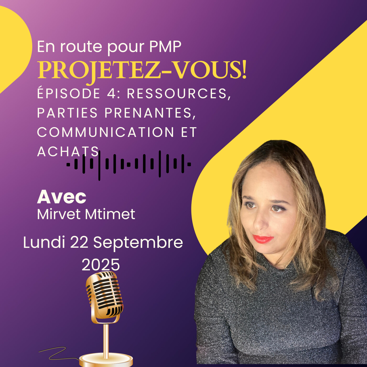 En route pour PMP - Ep4 - Maîtrisez les Soft Skills PMP : Relations, Communication, Parties Prenantes et Approvisionnement