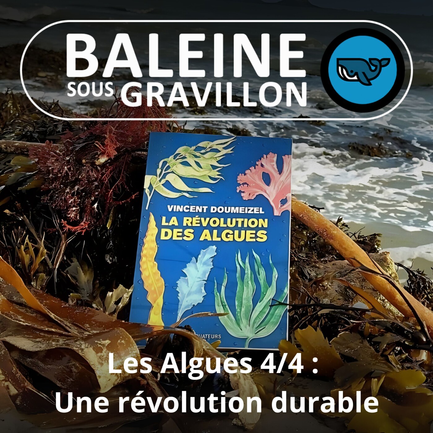 Baleine sous Gravillon