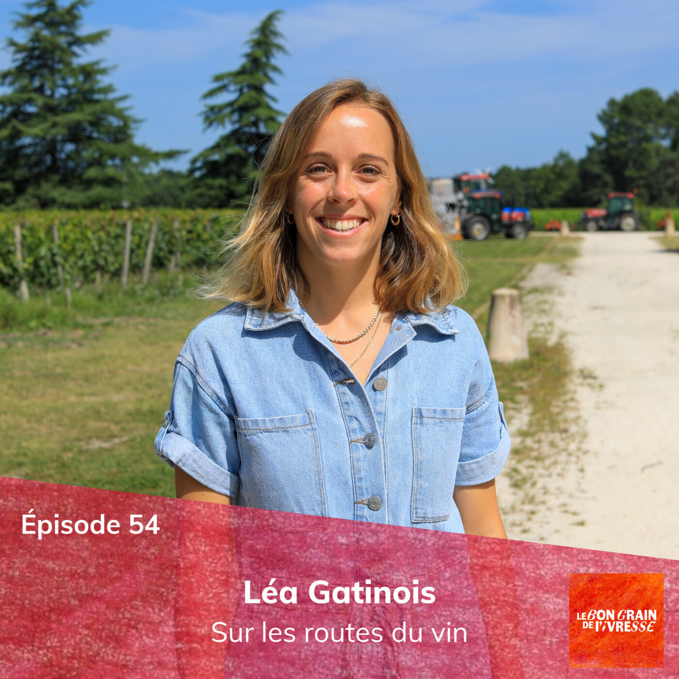 Épisode 54 : Léa Gatinois, sur les routes du vin