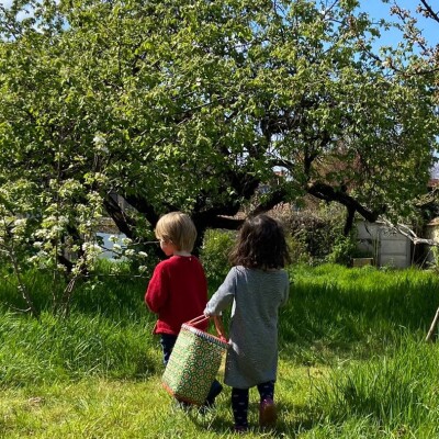 Tant qu'il y aura des Arbres S01E09 – Alice Denison cover