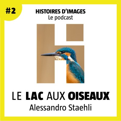 #2 - Le lac aux oiseaux cover