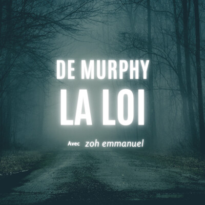 La loi de Murphy et ses applications : quand tout dérape cover