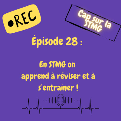 Episode 28 : " Apprendre efficacement en STMG !" cover