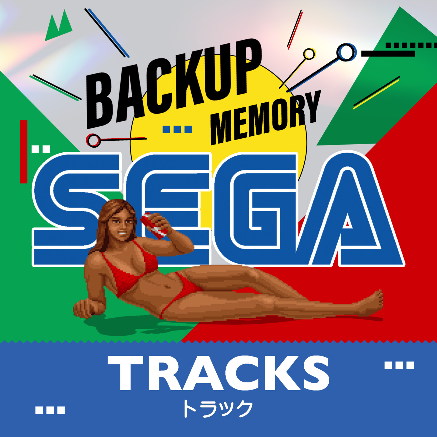 Backup Memory Cartridge