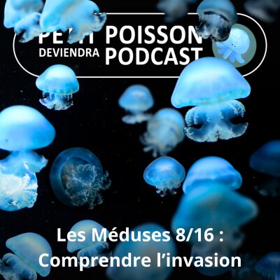 S04E08 Méduses 8/16 : Comprendre leur prolifération dans les océans cover