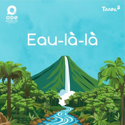 undefined cover